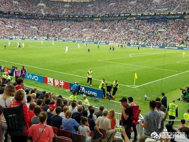 大丹狗图片法国vs克罗:法国与克罗地亚的世界杯决赛突然被多名球迷进场打断，你怎么看？