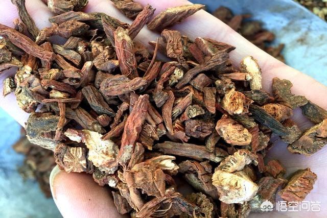 苍耳子散加减功效:换季的时候应如何防范鼻炎复发？