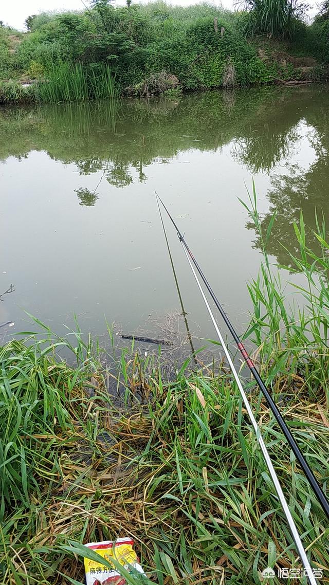 雨天釣魚,釣魚是下雨天好還是晴天好?