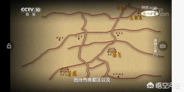 拟厦鸟:刚出土的玉米苗，怎样防止鸟叼