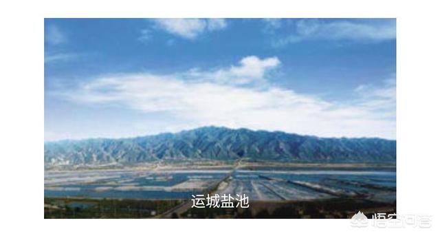 拟厦鸟:刚出土的玉米苗，怎样防止鸟叼