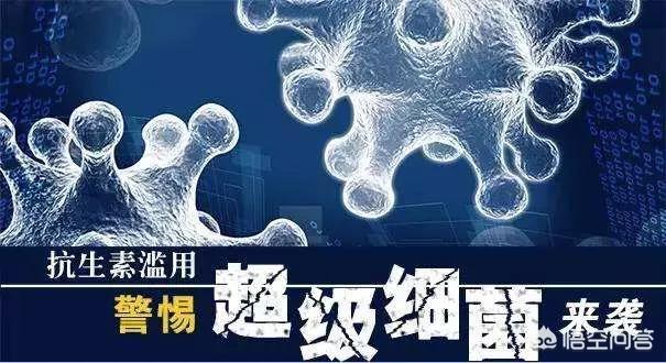 全国细菌耐药监测网(中国是世界上用抗生素最多的国家，为什么超级细菌不是在中国发现)