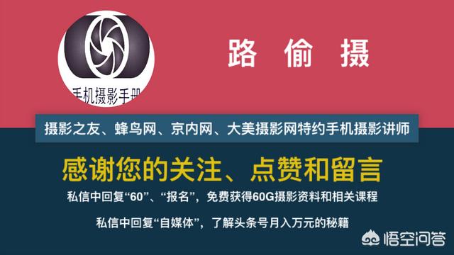 一件代发每月能挣多少，2020年做电商想做一件代发，能赚到钱吗