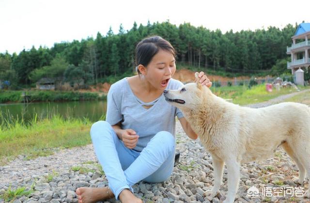 我做女犬的开心日子:你什么时候开始觉得做女生是一件很快乐的事情？