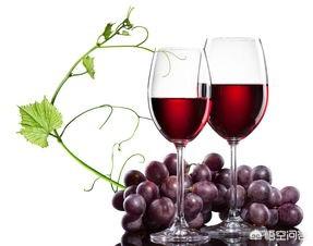 葡萄没熟能做葡萄酒吗，自制葡萄酒到底有没有甲醇等有毒物质