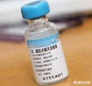 被猫抓了一下轻微破皮要打针吗:被家养猫抓伤了，要不要打预防针？