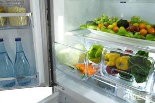 冰箱积水怎么处理,冰箱冷藏室有积水怎么办？