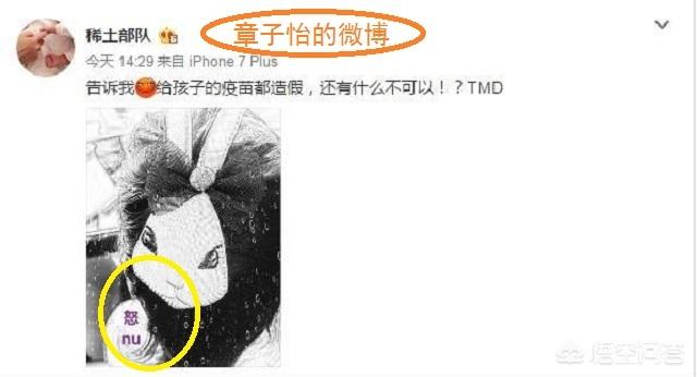 mmp的姚守岗的微博:李雨桐曝出了这么多薛之谦的黑料，为什么薛之谦还是很红？