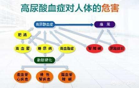头条问答 尿酸高可以通过运动减下来吗 子乐健康科普的回答 0赞