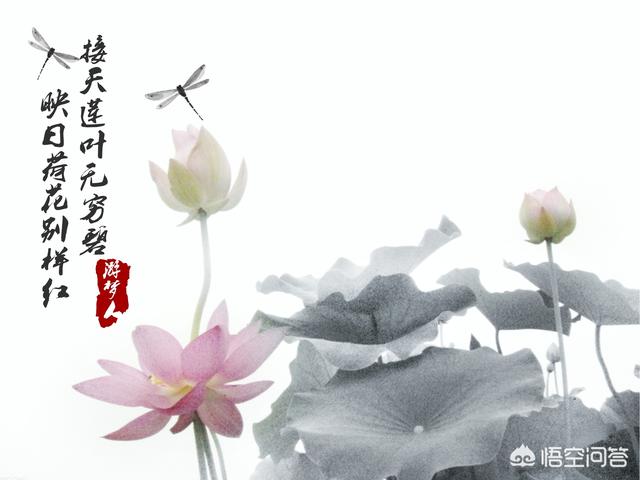 适合发<a href=https://maguai.com/list/256-0-0.html target=_blank class=infotextkey><a href=https://maguai.com/list/256-0-0.html target=_blank class=infotextkey>朋友圈</a></a>吸引人的:什么样的照片在<a href=https://maguai.com/list/256-0-0.html target=_blank class=infotextkey><a href=https://maguai.com/list/256-0-0.html target=_blank class=infotextkey>朋友圈</a></a>里比较吸引眼球？