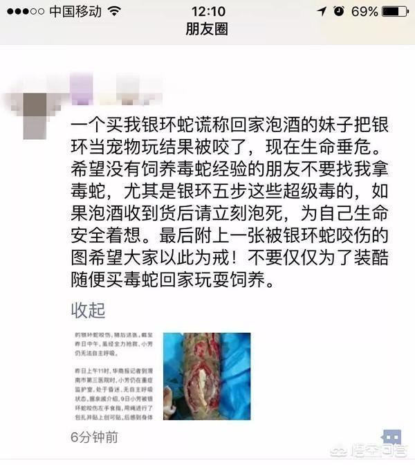 银环蛇有毒吗:银环蛇有毒吗 蛇吧 陕西21岁女孩被银环蛇咬伤致死，你认为谁应该为此负责？