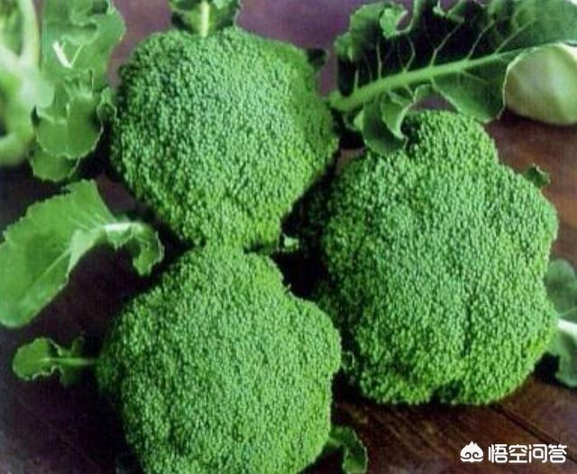 种植西兰花的夏播技术主要有哪些 头条问答