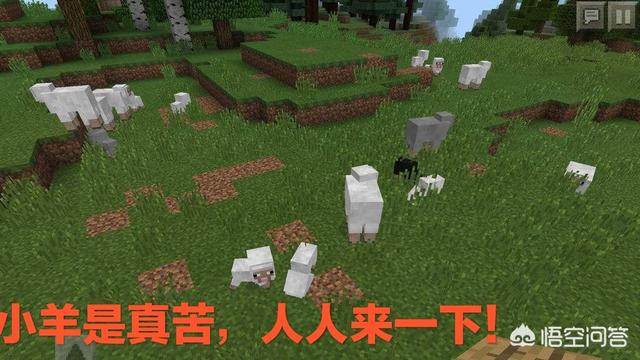 《我的世界》被消灭最多的生物排名,哪四种生物上榜会毫无争议？