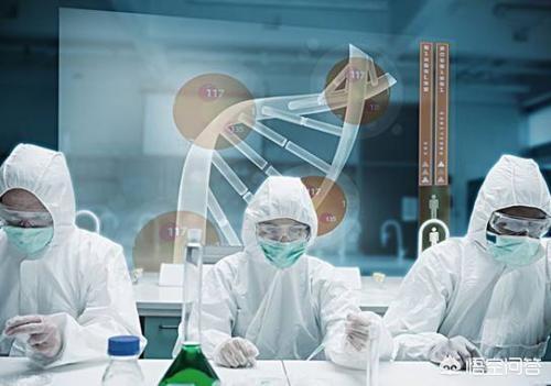 牛磺酸的功效与作用:牛黄酸对人体有哪些好处？