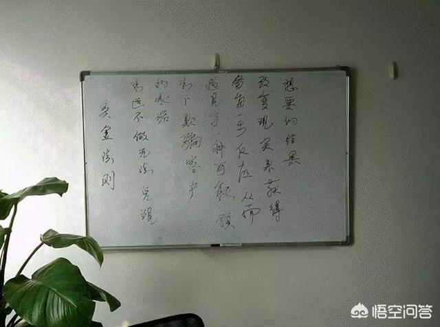 爱情维修站:贵州最有名的女名人有哪些