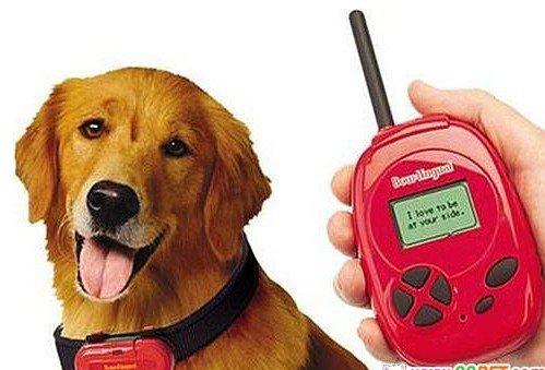 宠物说app功能:宠物类APP主要有哪些功能？ 宠物交易app
