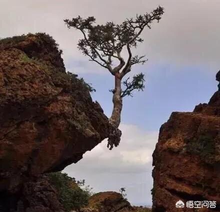 回到现代:如果回到十年前，你还会不会活成现在这个样子？