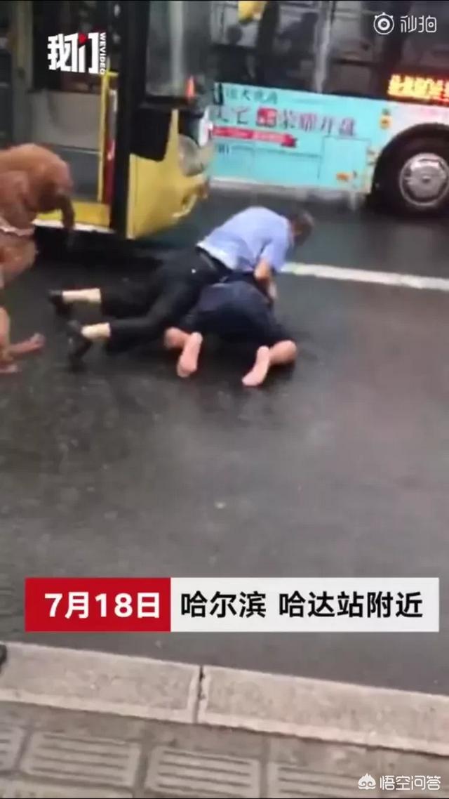 抱狗坐公交下跪:哈尔滨一个人抱狗乘公交被拒殴打司机，对此你怎么看？