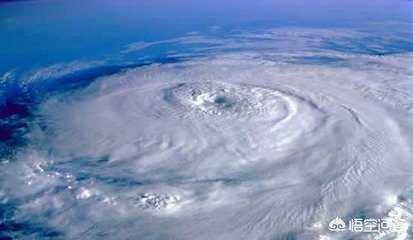 天鸽台风是哪一年，你见过的最大的台风，是在哪一年可以介绍一下吗