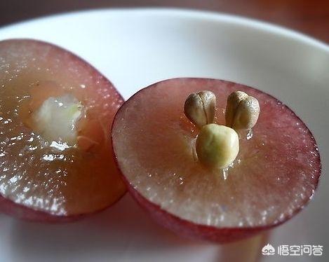 香港天力壮阳药，有人知道葡萄籽的功效与作用吗