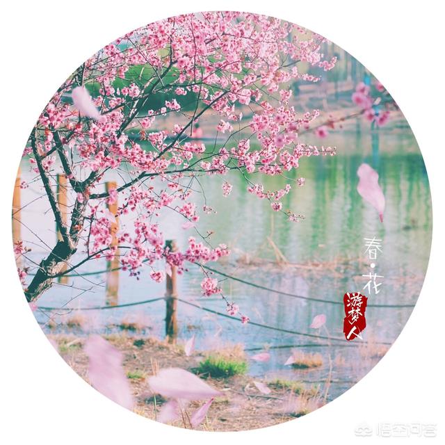 适合发<a href=https://maguai.com/list/256-0-0.html target=_blank class=infotextkey><a href=https://maguai.com/list/256-0-0.html target=_blank class=infotextkey>朋友圈</a></a>吸引人的:什么样的照片在<a href=https://maguai.com/list/256-0-0.html target=_blank class=infotextkey><a href=https://maguai.com/list/256-0-0.html target=_blank class=infotextkey>朋友圈</a></a>里比较吸引眼球？
