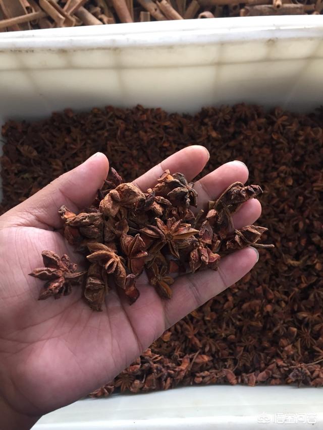 卤菜中常用的大料有哪些？