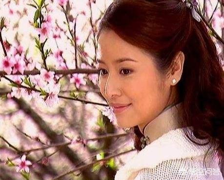 林心如妹妹:林心如演紫薇才女形象深入人心，那么你觉得她能演好林黛玉吗？