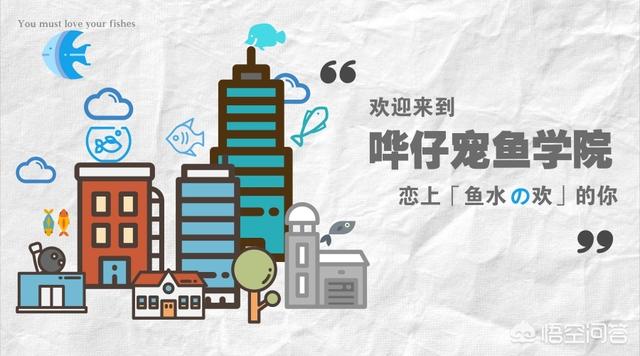 金鱼怎么养:金鱼是怎么来的金鱼怎么养