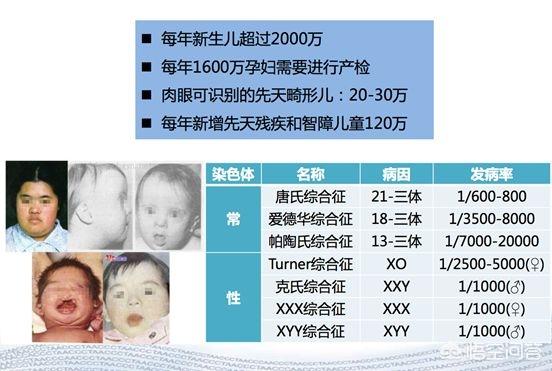 悟空问答 无创产前基因检测 Nipt 是什么检查 手机用户的回答 0赞