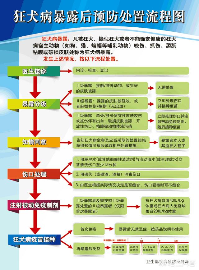 狂犬疫苗注射时间:狂犬疫苗的最佳免疫时间？