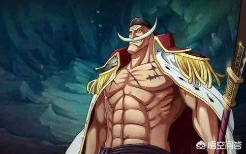 《海贼王》里面你最喜欢谁呢?-惠修网