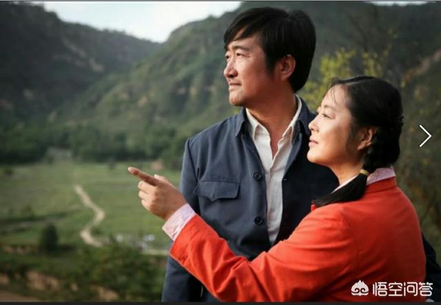 岁岁年年柿柿红的演员:如何评价沈行在《岁岁年年柿柿红》中饰演的王长安？