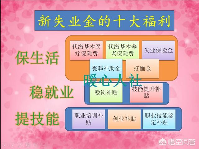 失业金是一生只能领取24个月的，还是每次最多领取24个月的？插图13