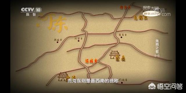 拟厦鸟:刚出土的玉米苗，怎样防止鸟叼