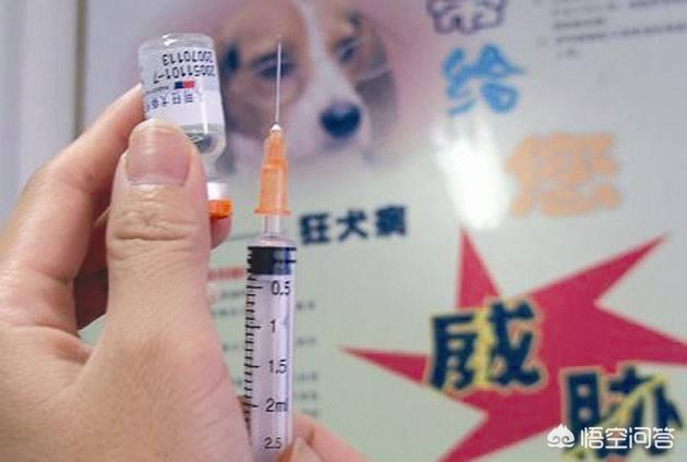 冻干狂犬病疫苗:冻干狂犬病疫苗vero一针多少钱 朋友被阿拉斯加划伤了，但狗狗打了狂犬疫苗，他还用打血清吗？