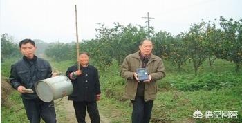 中鸟论坛:预防果园鸟害，都有哪些好的方法？