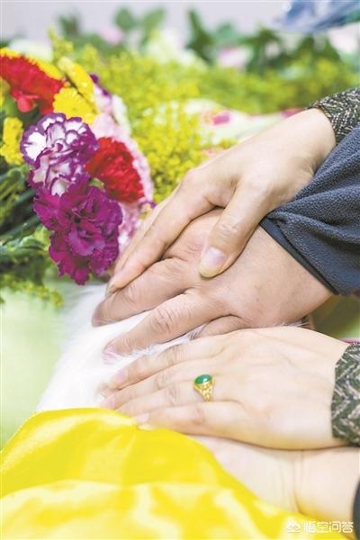 宠物去世后你会以何种方式处理呢？插图12