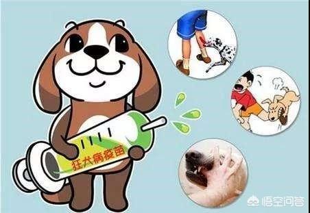 狂犬病的预防措施论文:狂犬病一旦发作真的是无药可救吗？有没有治愈的少数例子？