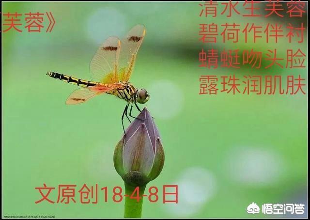 今日头条是怎么去辨别你的文章是原创还是伪原创的？