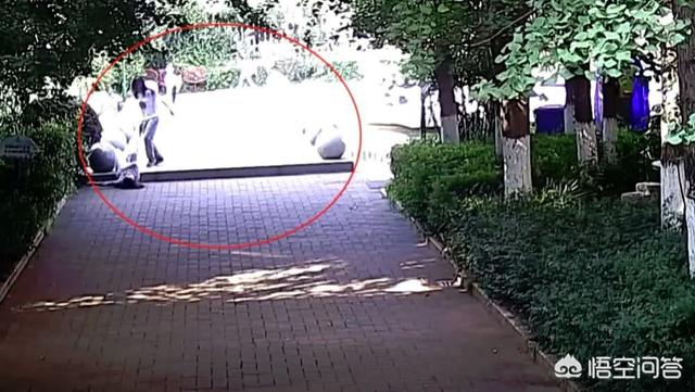 调教女犬奴:在sm中什么猫奴怎么定义，该如何调教？