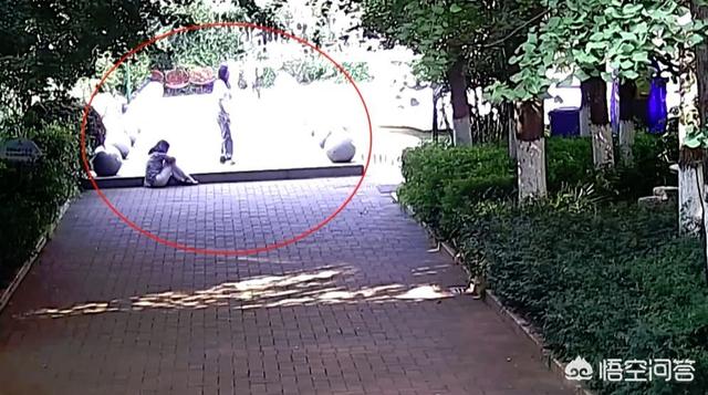 调教女犬奴:在sm中什么猫奴怎么定义，该如何调教？