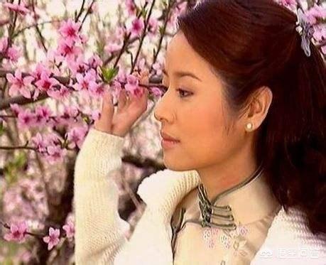 林心如妹妹:林心如演紫薇才女形象深入人心，那么你觉得她能演好林黛玉吗？