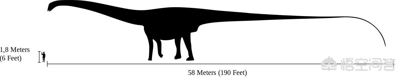 体型最大的恐龙,世界上最大的恐龙有多重？