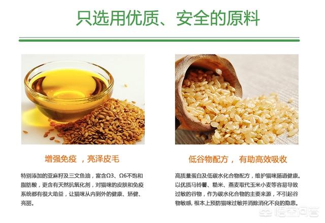 什么牌子的幼猫猫粮比较好:哪些品牌的猫粮比较放心给猫咪吃？
