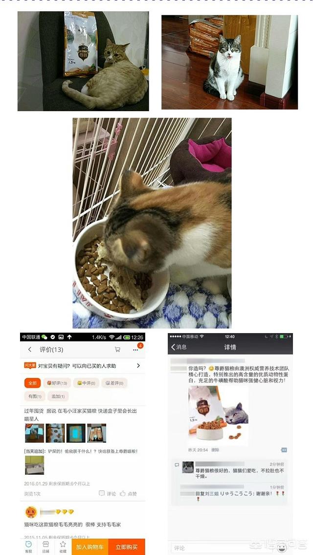 猫粮品牌:哪些品牌的猫粮比较放心给猫咪吃？