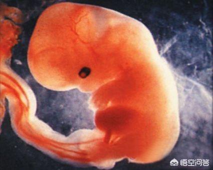孕早期褐色分泌物影响胎儿发育吗