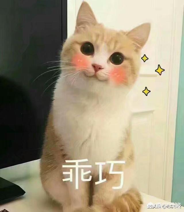如何给孩子合理安排暑假生活？