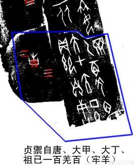 拟厦鸟:刚出土的玉米苗，怎样防止鸟叼