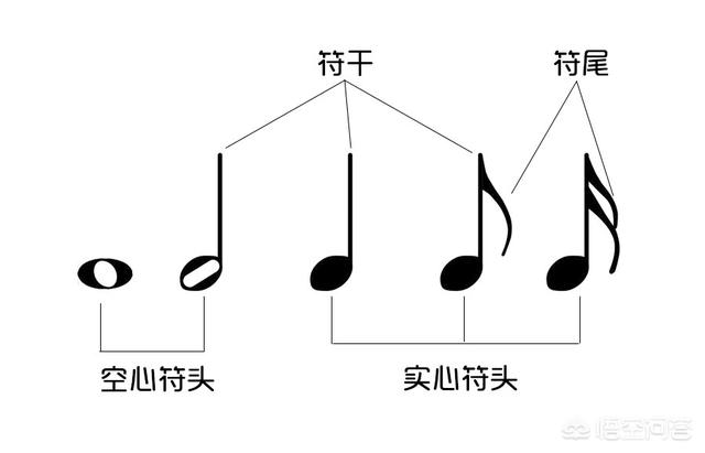 头条问答 四分音符 八分音符的区别是什么 仲子吉他的回答 0赞