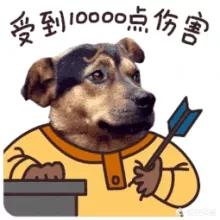 女子虐狗图片:西安一名女子因狂犬病死亡引起全城打狗，你怎么看？